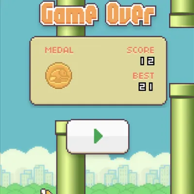 Floppy Bird game